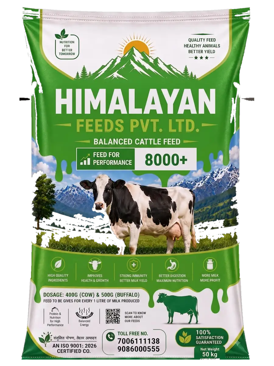 Himalayan Feeds 8000+ — balanced cattle feed, 50 kg bag