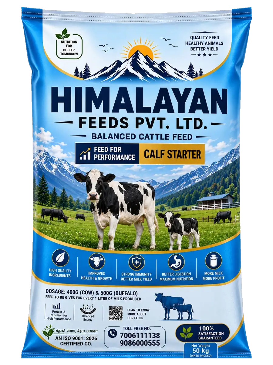 Himalayan Feeds Calf Starter — balanced cattle feed, 50 kg bag
