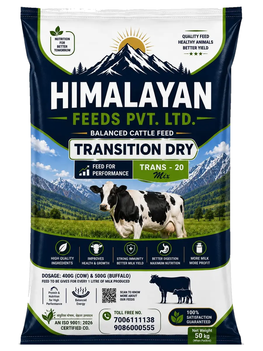 Himalayan Feeds Transition Dry, Trans-20 Mix — balanced cattle feed, 50 kg bag